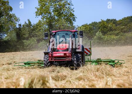 Hay Harvest Juni 2020 UK roten Traktor, Drehen Heu in Vorbereitung, um es zu ballen, blauer Himmel schönen sonnigen Tag. Machen Heu, während die Sonne scheint. Hampshire UK Stockfoto