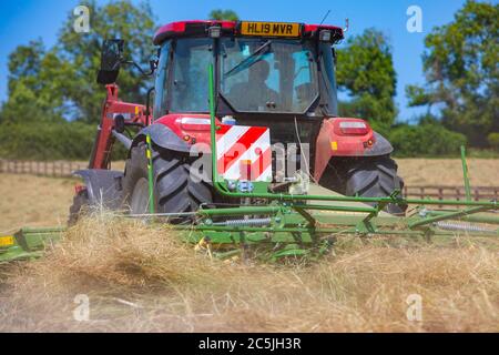 Hay Harvest Juni 2020 UK roten Traktor, Drehen Heu in Vorbereitung, um es zu ballen, blauer Himmel schönen sonnigen Tag. Machen Heu, während die Sonne scheint. Hampshire UK Stockfoto