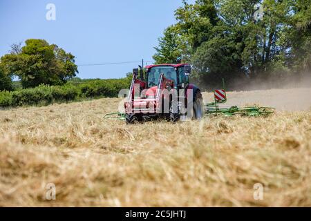 Hay Harvest Juni 2020 UK roten Traktor, Drehen Heu in Vorbereitung, um es zu ballen, blauer Himmel schönen sonnigen Tag. Machen Heu, während die Sonne scheint. Hampshire UK Stockfoto