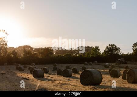 Hay Harvest Juni 2020 UK roter Traktor, Sonnenuntergang Ballenpressen das Heu. Große runde Ballen, für Pferdfutter Stockfoto