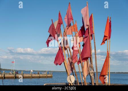 Hiddensee, Deutschland. Juni 2020. Signalfahnen für Fischernetze. Quelle: Stephan Schulz/dpa-Zentralbild/ZB/dpa/Alamy Live News Stockfoto