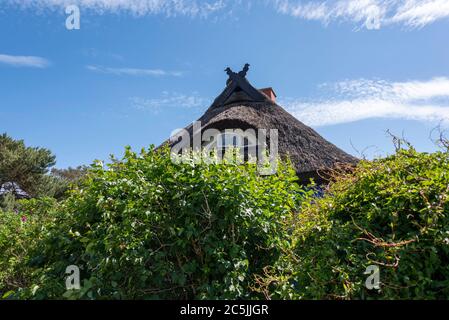 Hiddensee, Deutschland. Juni 2020. Blick auf die Blue Barn. Es ist das letzte noch verbliebene Rauchhaus auf Hiddensee. Rauchhäuser sind reetgedeckte Gebäude, in denen der Rauch durch Risse und Spalten im Dach entweichen könnte. Das Blaue Haus in Vitte stammt aus dem 19. Jahrhundert. Quelle: Stephan Schulz/dpa-Zentralbild/ZB/dpa/Alamy Live News Stockfoto