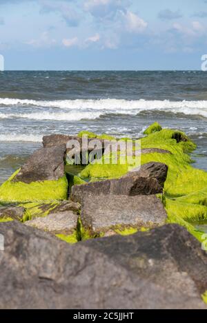 Neuendorf, Deutschland. Juni 2020. Groynes, Steingroynes, die am Strand von Neuendorf aus dem Wasser ragen, sollen unter anderem der Erosion von Land entgegenwirken. Quelle: Stephan Schulz/dpa-Zentralbild/ZB/dpa/Alamy Live News Stockfoto