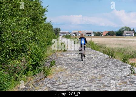 Neuendorf, Deutschland. Juni 2020. Ein Tourist fährt mit dem Fahrrad über einen alten Deich nach Neuendorf. Quelle: Stephan Schulz/dpa-Zentralbild/ZB/dpa/Alamy Live News Stockfoto