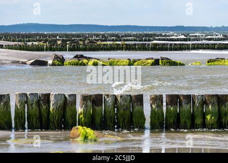 Neuendorf, Deutschland. Juni 2020. Groynes, aus dem Wasser ragende Holzpfähle und Steingroynes am Strand von Neuendorf sollen unter anderem der Erosion von Land entgegenwirken. Quelle: Stephan Schulz/dpa-Zentralbild/ZB/dpa/Alamy Live News Stockfoto