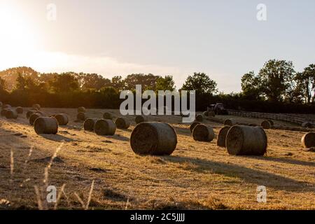 Hay Harvest Juni 2020 UK roter Traktor, Sonnenuntergang Ballenpressen das Heu. Große runde Ballen, für Pferdfutter Stockfoto