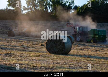 Hay Harvest Juni 2020 UK roter Traktor, Sonnenuntergang Ballenpressen das Heu. Große runde Ballen, für Pferdfutter Stockfoto