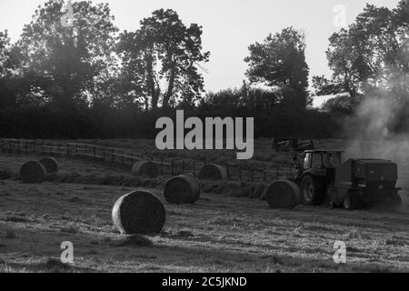 Hay Harvest Juni 2020 UK roter Traktor, Sonnenuntergang Ballenpressen das Heu. Große runde Ballen, für Pferdfutter Stockfoto