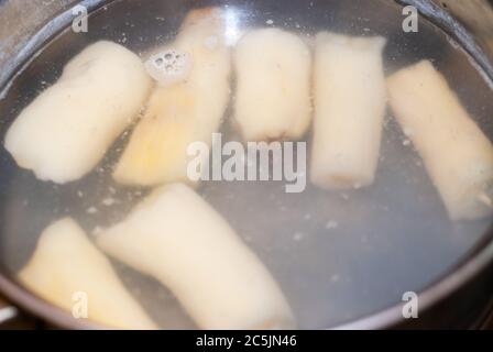 Manihot esculenta, Manihot in einem Topf mit kochendem Wasser kochen. (Cassava roh Knolle). Maniok, auch als Mandioca, Yuca, Balinghoy, mogo, Mantoca, k Stockfoto