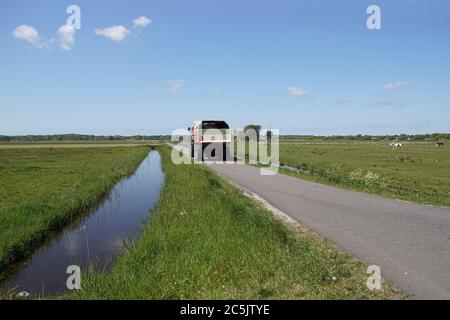 Weidelandschaft. Blauer Traktor mit rotem Anhänger, der hinter ihm auf einer Straße entlang der Wiesen in der Nähe des niederländischen Dorfes Bergen gekoppelt ist. Feder. Stockfoto