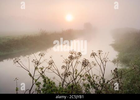 Neblige Morgendämmerung auf dem Fluss Wey bei Send, Surrey, Großbritannien. Stockfoto