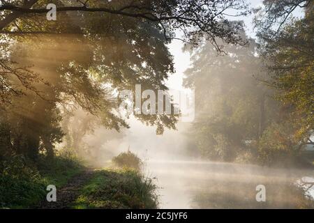 Neblige Morgendämmerung auf dem Fluss Wey bei Send, Surrey, Großbritannien. Stockfoto