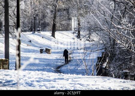 Eine Silhouette bewegen sich in verschneiten Tag. Wahnsinniger. Sonniger Wintertag. Stockfoto