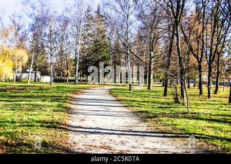 Ein Straßenweg im Park mit Bäumen. Ukraine. Eine Stadt Sumy. Stockfoto