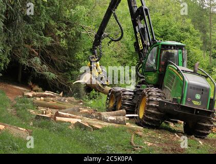 Holzfällmaschine bei der Arbeit in den Chiltern Hills in England Stockfoto
