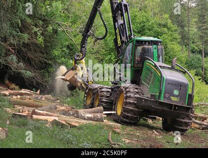 Holzfällmaschine bei der Arbeit in den Chiltern Hills in England Stockfoto