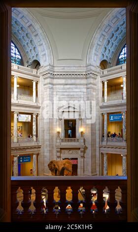 Der Blick von einer Galerie auf die Haupthalle des Smithsonian National Museum of Natural History, Washington, DC, USA Stockfoto