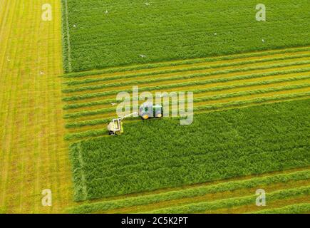 Luftaufnahme der Silage in der Nähe von Balerno, Midlothian, Schottland. Stockfoto