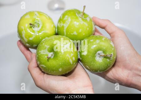 Obst waschen. Mädchen wäscht Äpfel. Hände und seifigen grünen Apfel Stockfoto