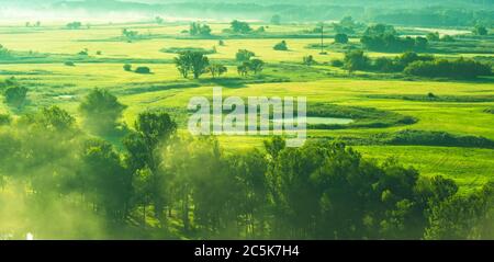 Schönes grünes Feld im Morgennebel Stockfoto