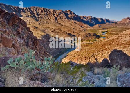 Kaktus mit Kaktus über Rio Grande im Colorado Canyon, von La Questa (Big Hill), der River Road, Big Bend Ranch State Park, Texas, USA Stockfoto