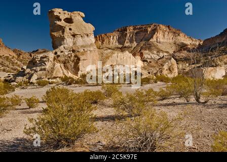 Kreosoten-Sträucher und erodierte Felsen in der Gegend von Three Dike Hill in den Bofecillos Mountains, Chihuahuan Desert, im Big Bend Ranch State Park, Texas, USA Stockfoto