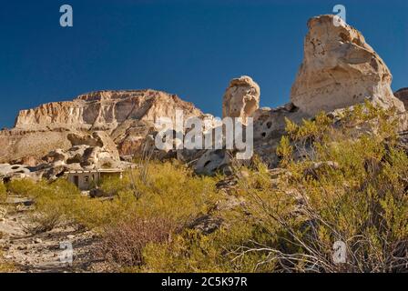 Kreosoten-Sträucher und erodierte Felsen in der Gegend von Three Dike Hill in den Bofecillos Mountains, Chihuahuan Desert, im Big Bend Ranch State Park, Texas, USA Stockfoto