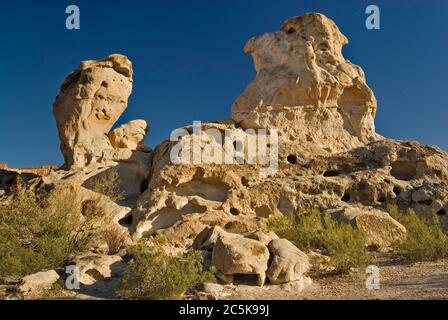 Ausgewaschene Felsen bei drei Deich Hügelbereich im Bofecillos Gebirge, Chihuahua-Wüste, im Big Bend Ranch State Park, Texas, USA Stockfoto