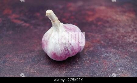 Eine Zwiebel frischen Knoblauchs mit einer Makrolinse Stockfoto