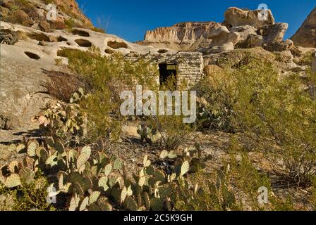 Ruinen von lehmhäusern, Kakteen aus Kakteen, Kreosoten-Sträucher in der Nähe von Minen, drei-Dike-Hügel-Gegend, Bofecillos Mtns, Big Bend Ranch State Park, Texas, USA Stockfoto