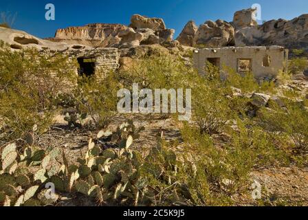 Ruinen von lehmhäusern, Kakteen aus Kakteen, Kreosoten-Sträucher in der Nähe von Minen, drei-Dike-Hügel-Gegend, Bofecillos Mtns, Big Bend Ranch State Park, Texas, USA Stockfoto