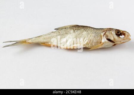 Getrockneter Fisch auf grauem Hintergrund. Salziger trockener Flussfisch auf hellgrauem Hintergrund. Draufsicht. Speicherplatz kopieren. Stockfoto