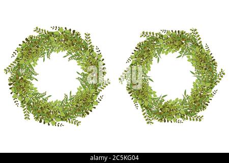 Vintage rustikalen grünen floralen Sammlung von Blättern Zweig und Farn Kranz. Hochzeit Einladung Ornament Frame Set. Rand mit exotischen Blättern. Stock Vektor