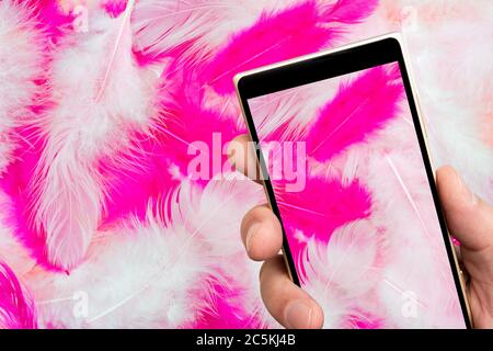 Rosa Federn auf dem Smartphone-Bildschirm. Weiße und rosa Vogelfedern. Grußkarte zum Valentinstag. Stockfoto