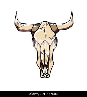 vektor Stier Schädel isoliert auf weißem Hintergrund Stock Vektor