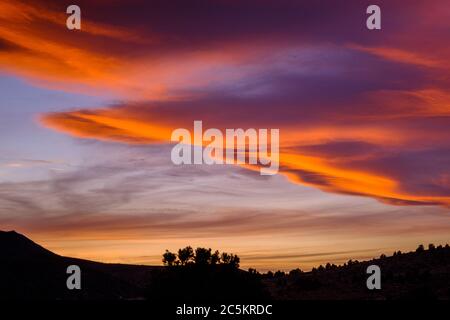 Ein majestätischer Sonnenuntergang erfüllt den Himmel und silouhetting die Bäume am Horizont Stockfoto