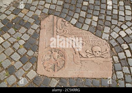 Fragment einer Fliese vor der Nikolaikirche, Wismar, Mecklenburg-Vorpommern, Deutschland Stockfoto