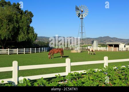 Nickle & Nickle Winery, St. Helena, Napa Valley, Kalifornien, USA Stockfoto