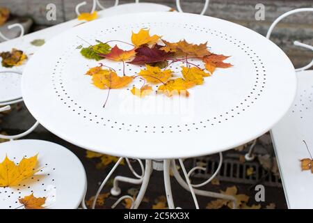 Leerer Outdoor-Café-Tisch mit bunten Herbstblättern bedeckt. Blick auf schöne Vintage Metall weißen Tisch und Stühle mit gefallenen Blättern Stockfoto