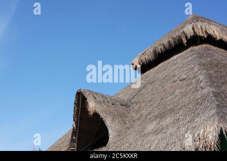 Strohdächer in Cozumel, Mexiko mit Formen und Formen. Stockfoto