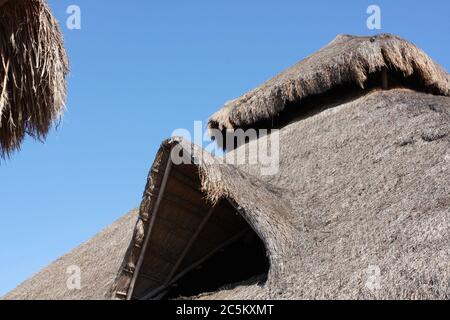 Strohdächer in Cozumel, Mexiko mit Formen und Formen. Stockfoto