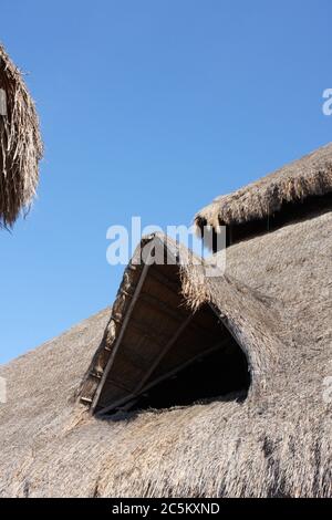 Strohdächer in Cozumel, Mexiko mit Formen und Formen. Stockfoto