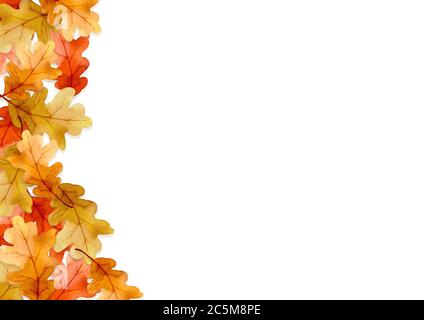 Rahmen von Blättern im Herbst Konzept isoliert auf weißem Hintergrund. Flach liegend, Draufsicht, Kopierbereich. Stockfoto