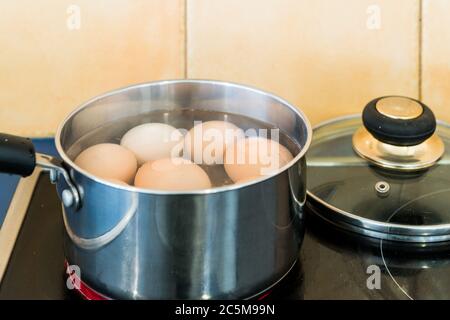 Eier kochen in Edelstahl-Topf auf der Kochplatte in der heimischen Küche Stockfoto