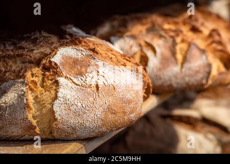 Sauerteig Brot Nahaufnahme. Frisch gebackenes Rundbrot mit goldener Kruste auf Backwarenregalen. Deutscher Bäcker-Shop Kontext mit rustikalem Brotsortiment. Stockfoto