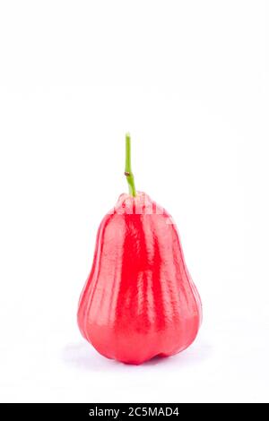 Halb Rosenapfel und rote Rosenäpfel auf weißem Hintergrund gesunde Rosenapfel Obst Nahrung isoliert Stockfoto