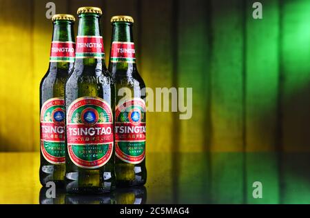 POZNAN, POL - 10. JAN 2020: Flaschen Tsingtao Bier, Produkt der Tsingtao Brauerei, Chinas zweitgrößte Brauerei in Qingdao in Shandong Provi Stockfoto