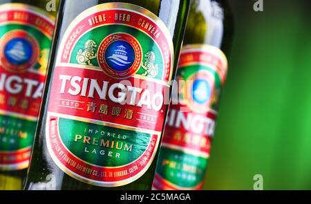 POZNAN, POL - 10. JAN 2020: Flaschen Tsingtao Bier, Produkt der Tsingtao Brauerei, Chinas zweitgrößte Brauerei in Qingdao in Shandong Provi Stockfoto