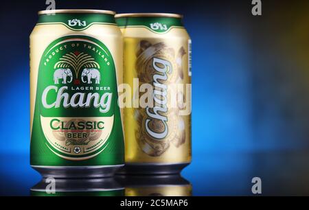 POZNAN, POL - 17. JAN 2020: Dosen Chang Bier, ein blasses Lager von ThaiBev gebraut, Thailands größte und einer der größten Getränkehersteller Südostasiens Stockfoto