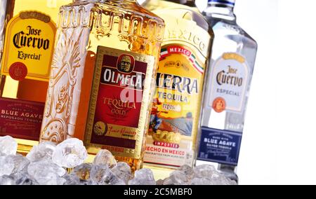 POSEN, POL - 29. JAN 2020: Flaschen der meistverkauften globalen Tequila-Marken, darunter Jose Cuervo, Olmeca und Sierra Stockfoto